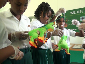 student-mountain-chicken