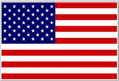 The Official USA Flag