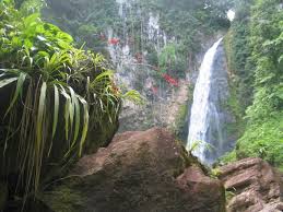 Discover Dominica Authority