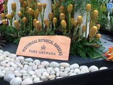 Pure Grenada Wins 13th GOLD MEDAL at RHS Chelsea Flower Show 1