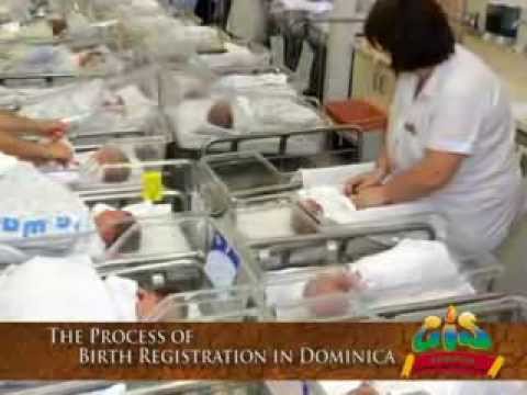 GIS Dominica: The Process of Birth Registration in Dominica 1
