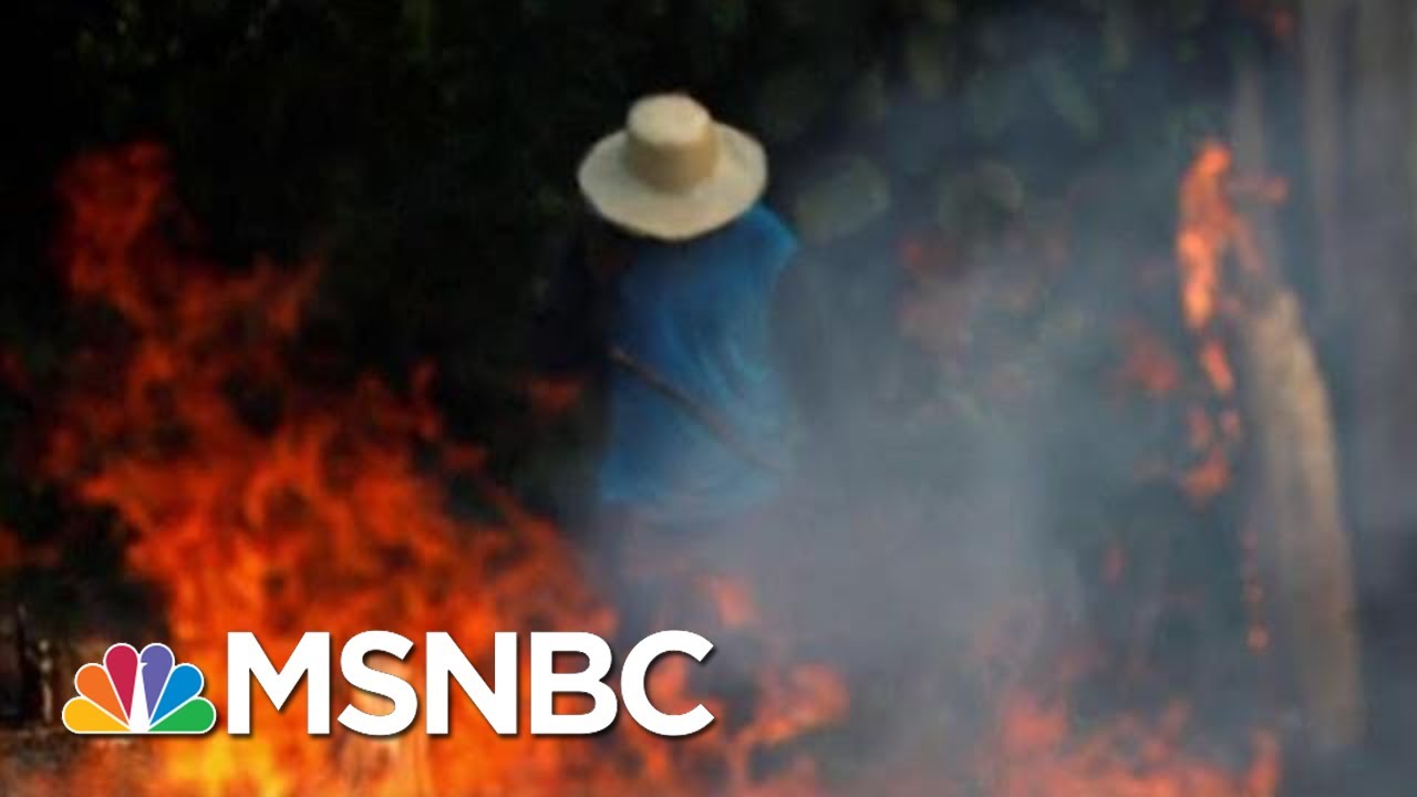 Brazilian President Jair Bolsonaro To Send Troops To Battle Amazon Fires | Hardball | MSNBC 8