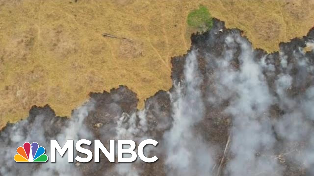 Brazilian Warplanes Dump Water On Amazon Wildfires | Morning Joe | MSNBC 9