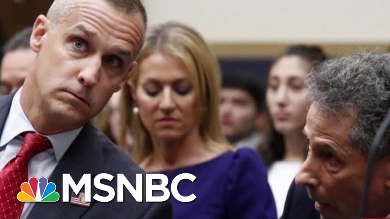 Corey Lewandowski 'Was Talking Directly To Donald Trump' | Morning Joe | MSNBC 3
