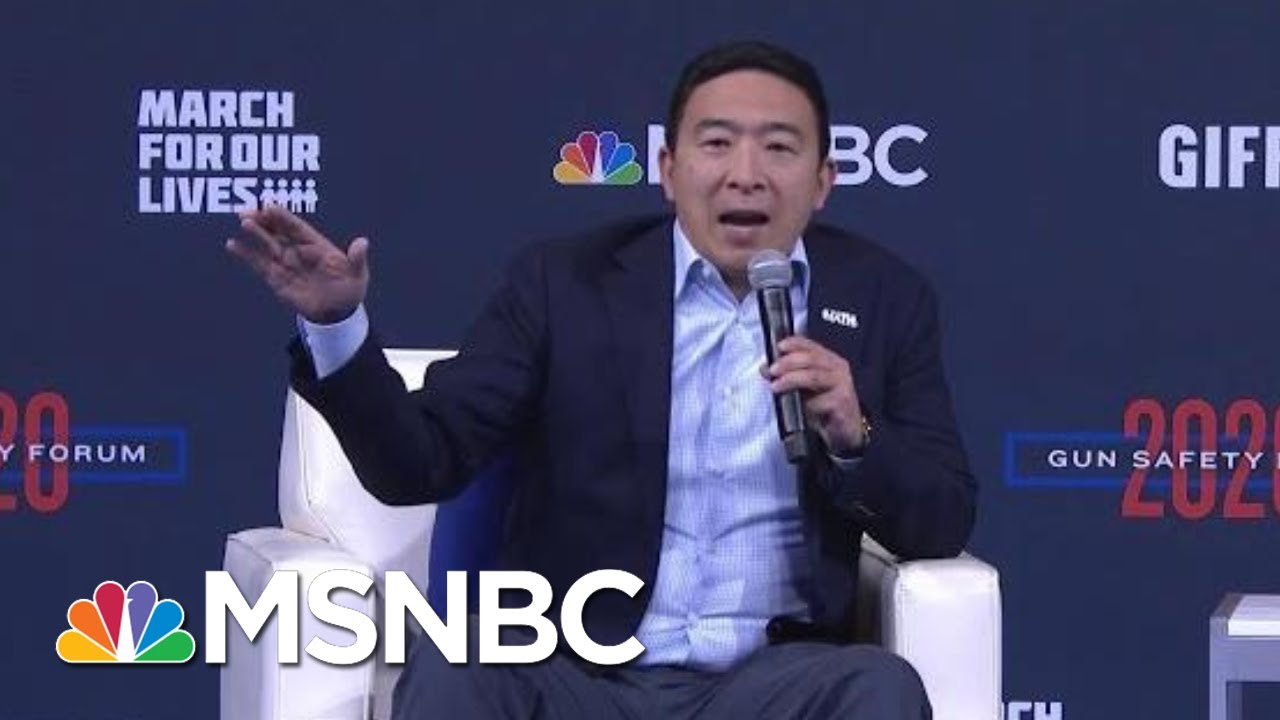 Andrew Yang: Have Gun Companies Pay A Fine When Their Product Is Used To Kill An American | MSNBC 6
