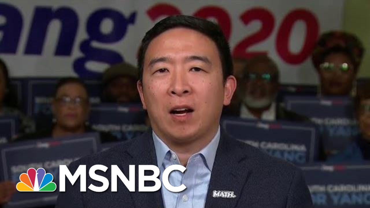 Andrew Yang Explains His Healthcare Plan | All In | MSNBC 5