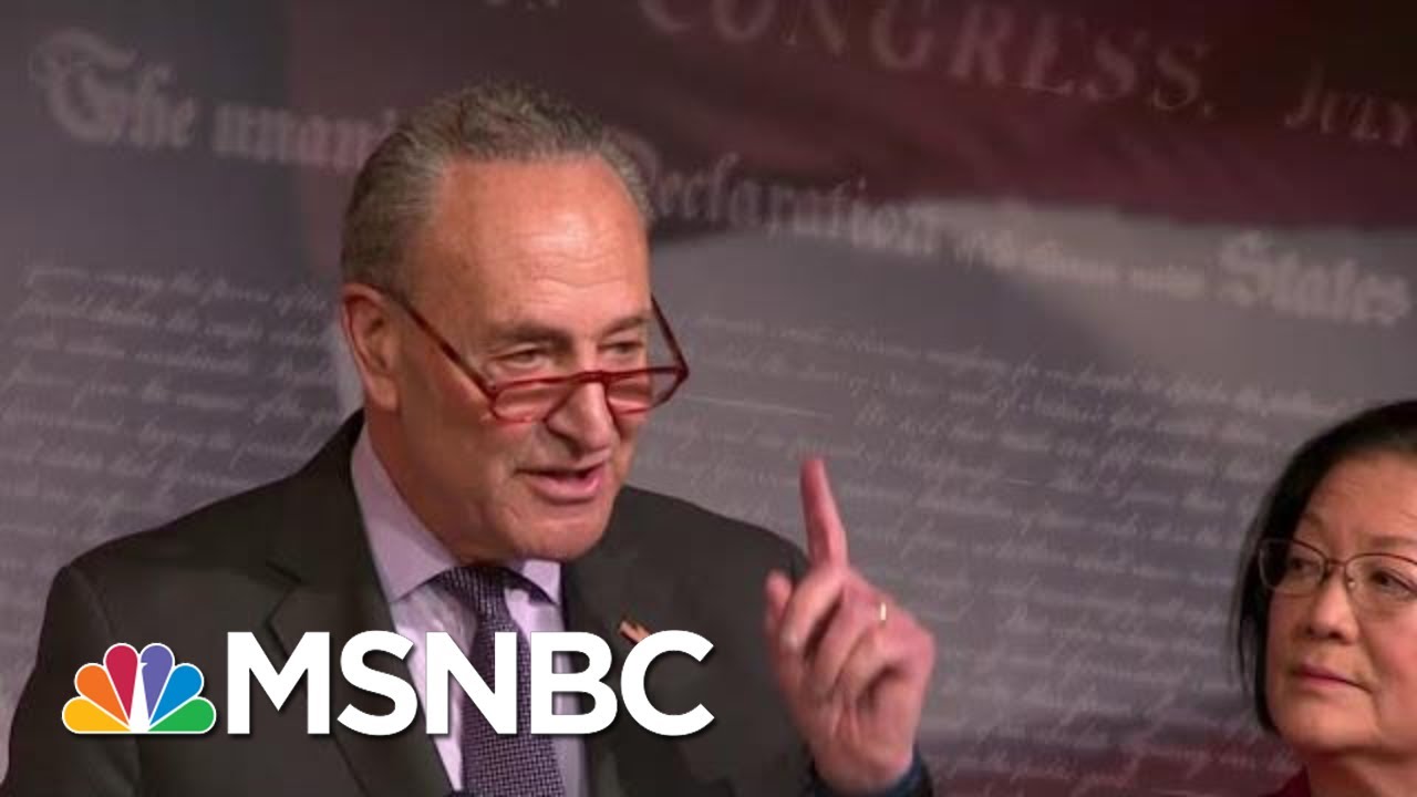 Sen. Chuck Schumer Calls Alan Dershowitz's Impeachment Logic 'A Load Of Nonsense' | MSNBC 1
