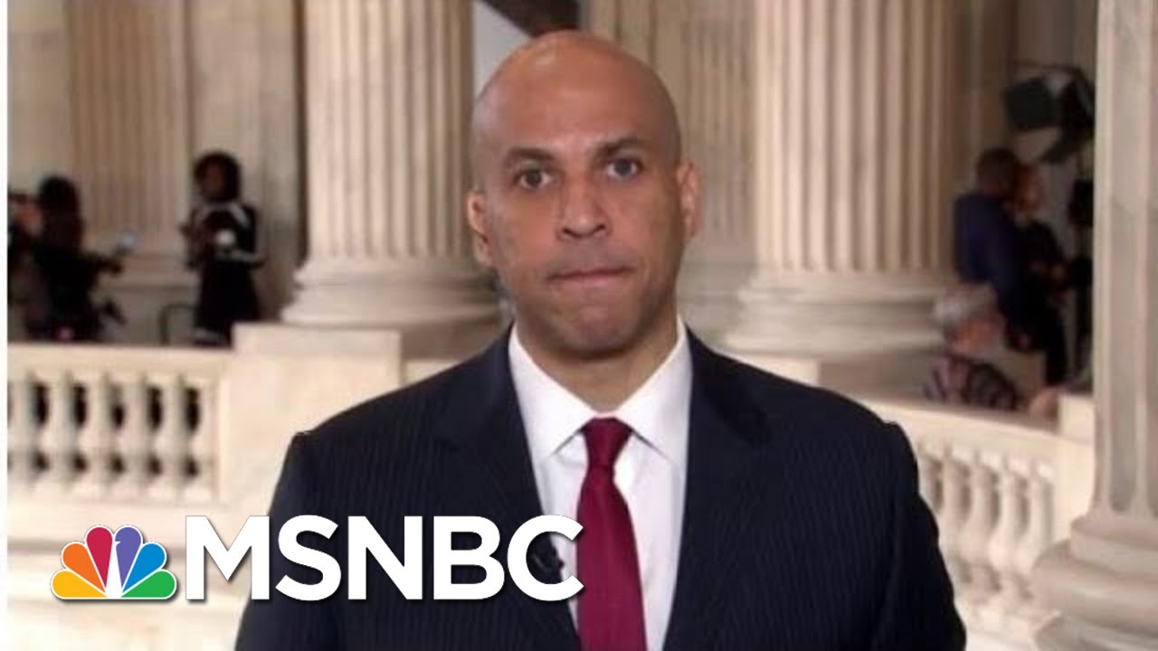 Cory Booker: ‘Moral Vandal’ In White House May Win This Day, But He Will Not Win Our Nation | MSNBC 1