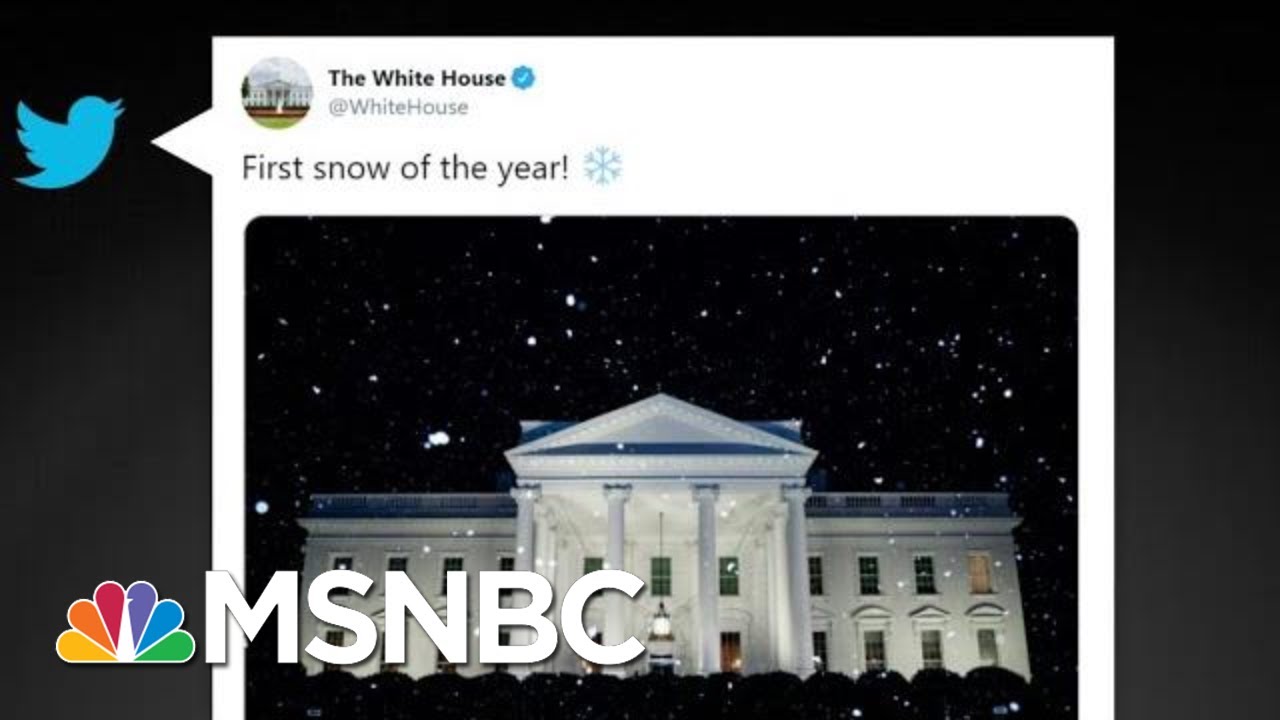 Climate Change-Denying White House Tweets About Snow When It's 70 Degrees | All In | MSNBC 1