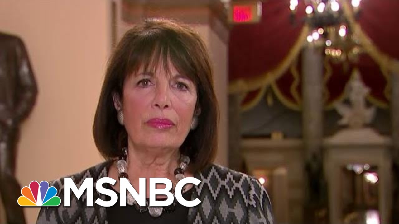 Jackie Speier: Criminal Enterprise Being Operated Out Of The White House | Hardball | MSNBC 1
