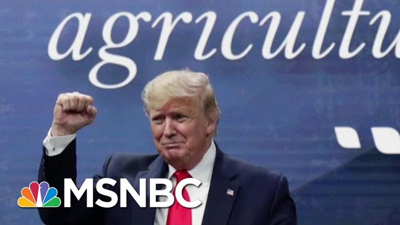 Majority Says Senate Should Vote To Convict, Remove President Donald Trump | Morning Joe | MSNBC 1