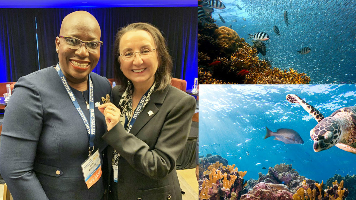 MORE ACTION AND FUNDING NEEDED TO PROTECT CARIBBEAN COASTS AND MARINE AREAS