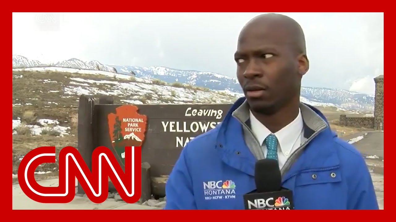 Reporter’s hilarious reaction to approaching bison goes viral 2