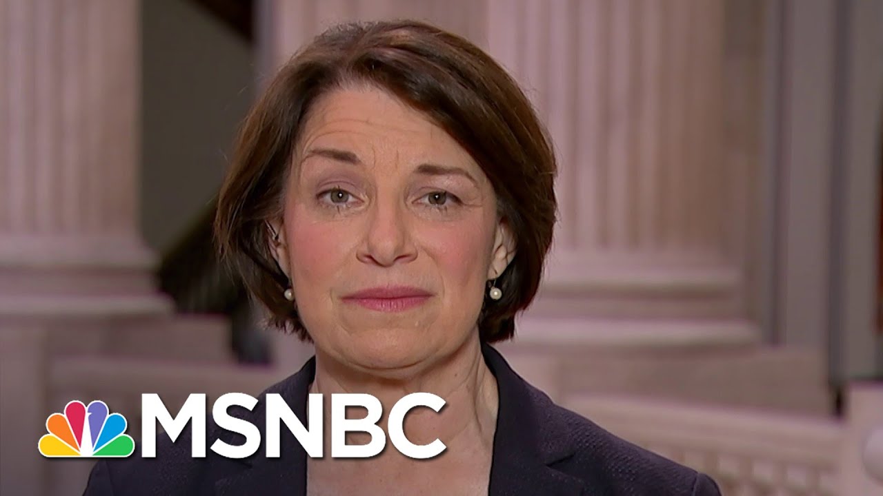 Sen. Amy Klobuchar: ‘We Can’t Let Everyone In The Country Go Bankrupt’ | The Last Word | MSNBC 8