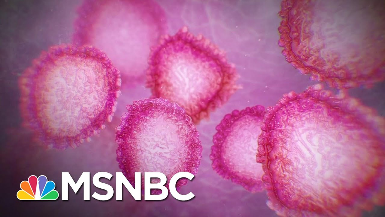 Still No Leadership From Trump Officials On Fighting Coronavirus | The 11th Hour | MSNBC 1
