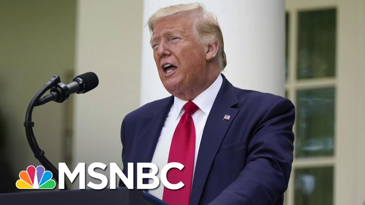 Jolly: Trump's 'Despicable Behavior' Is A Distraction During National Crisis | The 11th Hour | MSNBC 1
