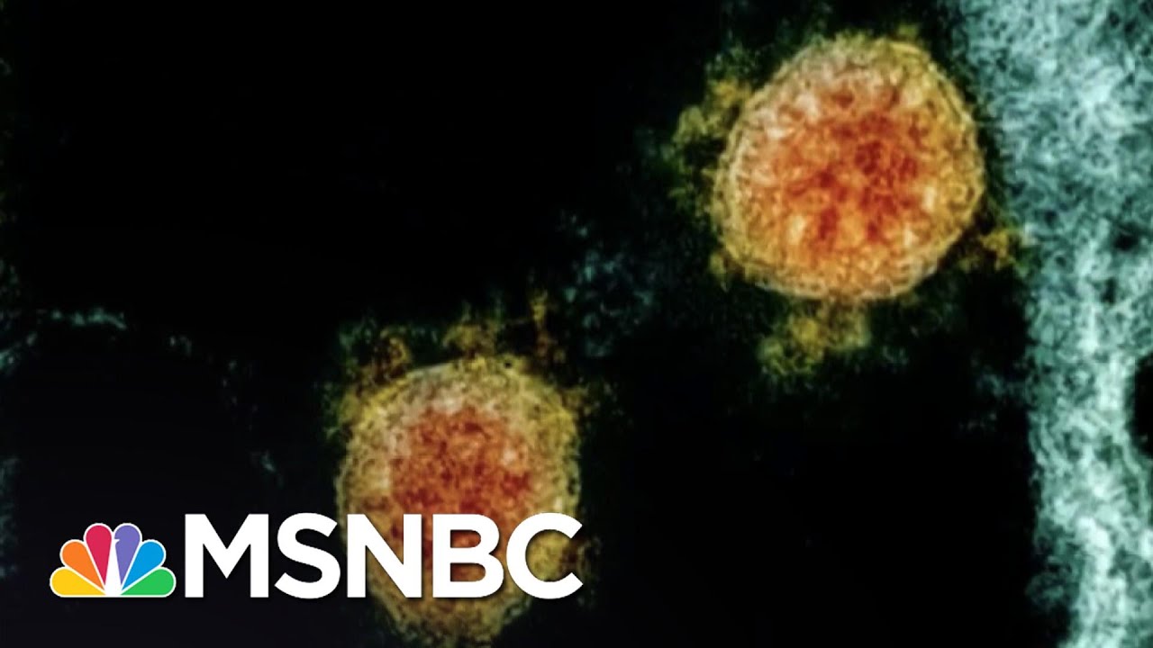 Health Officials: Worst Is Yet To Come With COVID-19 Outbreak | The 11th Hour | MSNBC 9