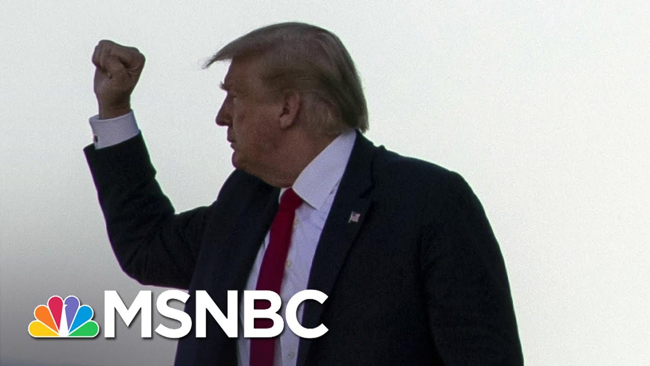 Trump Compares Himself To Lincoln And Questions Protesters' Motives | The 11th Hour | MSNBC 1
