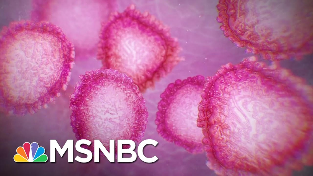 How To Protect Yourself As The Covid Pandemic Gets Worse | The 11th Hour | MSNBC 1