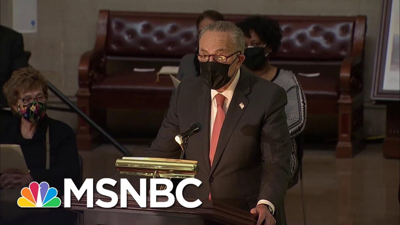 Schumer Honors Capitol Police Officer Brian Sicknick | MSNBC 1