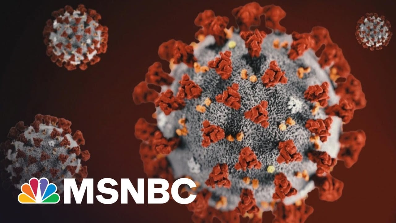 U.S. Hasn't Turned The Corner On The Pandemic, Says Infectious Diseases Expert | Morning Joe | MSNBC 1