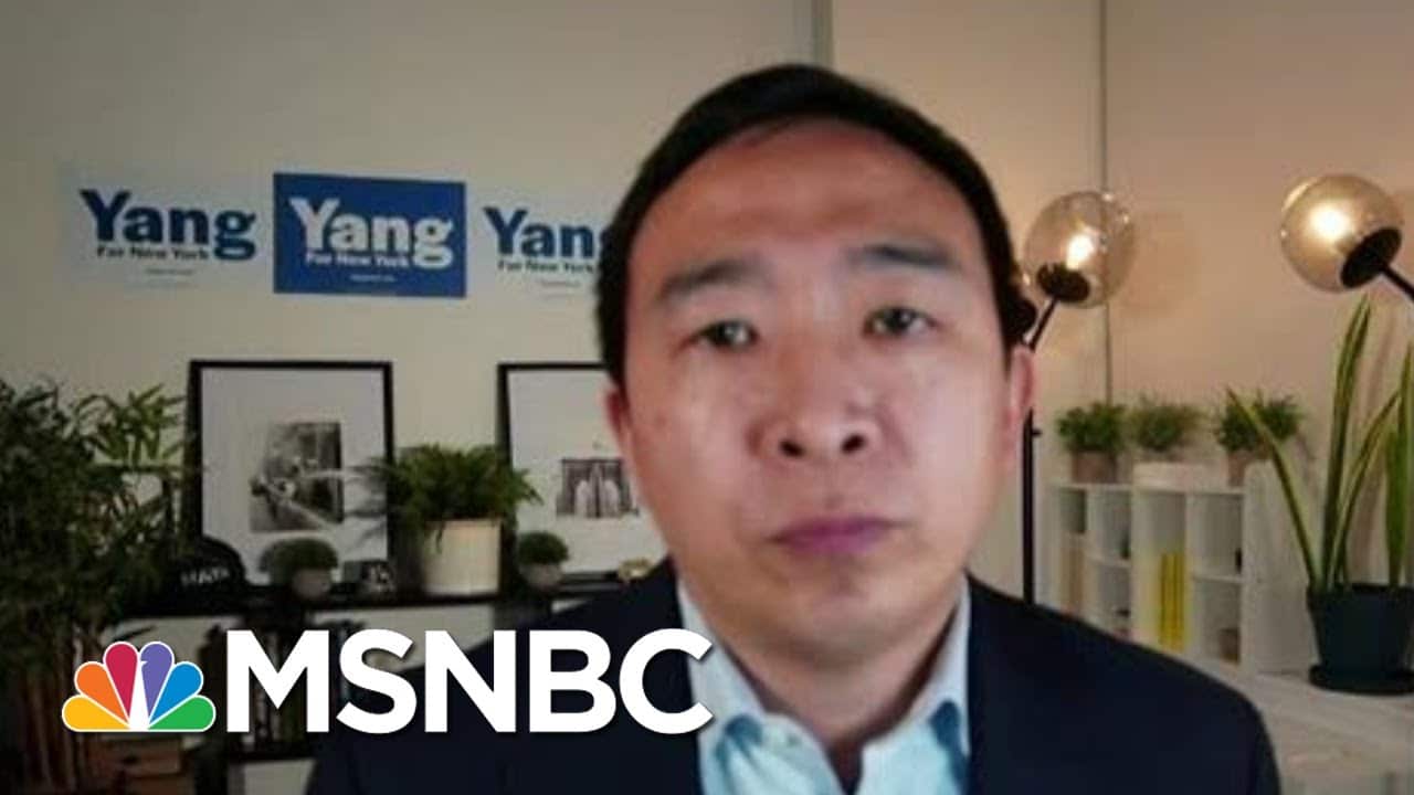 Andrew Yang On His Run For New York City Mayor | MSNBC 3
