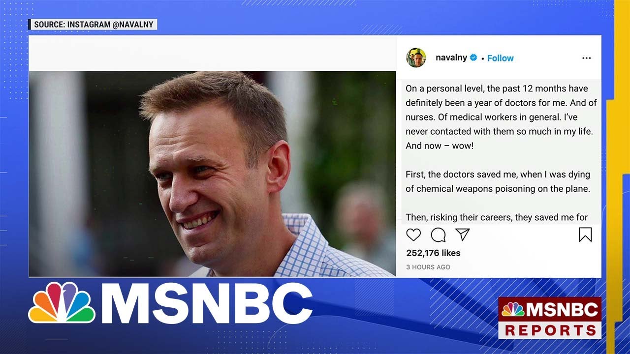 Moscow Court Bans Public Activity By Navalny's Groups | MSNBC 2