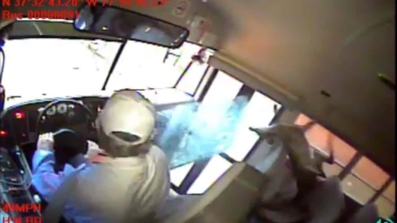Deer crashes through Virginia school bus windshield 1