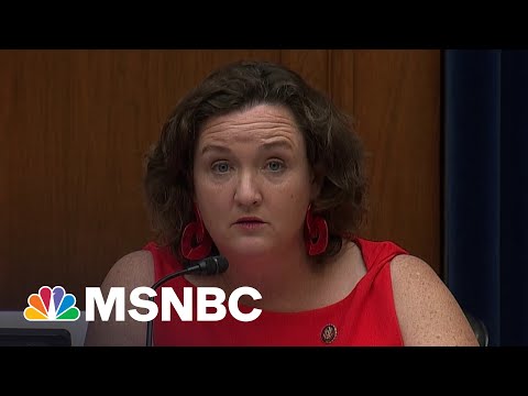 Rep. Katie Porter Crushes An Ill-Prepared CEO In Hearing | MSNBC 1