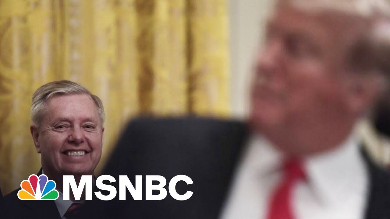 Lindsey Graham: GOP Cannot Grow Without Donald Trump | The 11th Hour | MSNBC 1