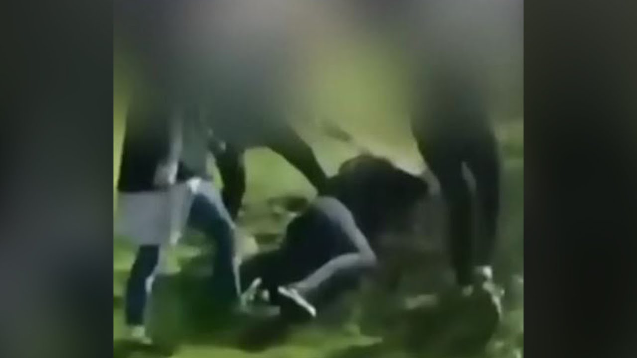 GRAPHIC: Video shows two girls being beaten near school in seemingly 'random' attack 1