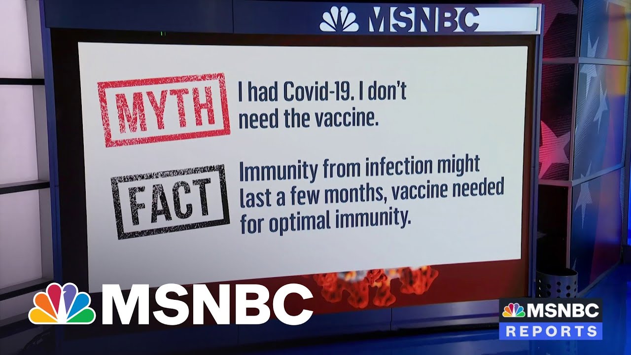 Fact Vs. Fiction On Covid-19 Vaccines | MSNBC 1
