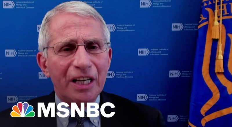Fauci Responds To Attacks From Republicans 8