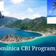 Dominica CBI Programme
