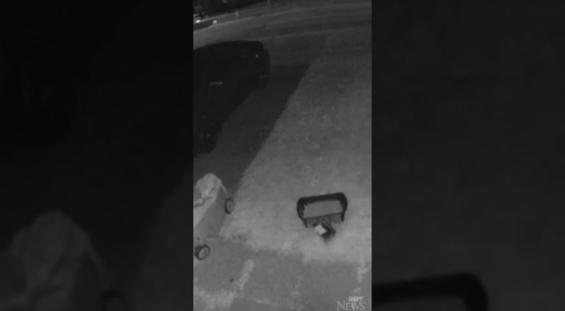 "Looked right into the camera": Video shows thief trying to break into vehicles in Ontario #shorts 1