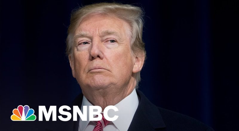 Will Donald Trump Run Again In 2024? | MSNBC 1