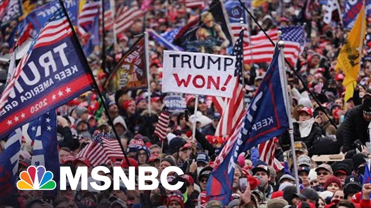 Republicans Make Trump's Big Lie Party's Campaign Platform 5