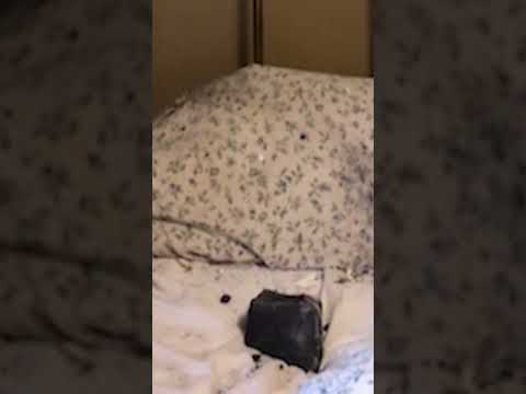Meteorite crashes into B.C. woman's bedroom #shorts 1