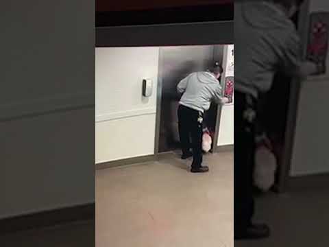 Caught on camera: Edmonton man saves dog after leash gets stuck in elevator door #shorts 1