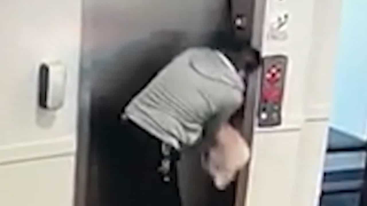 WATCH: Man rescues dog stranded outside elevator in Edmonton 1