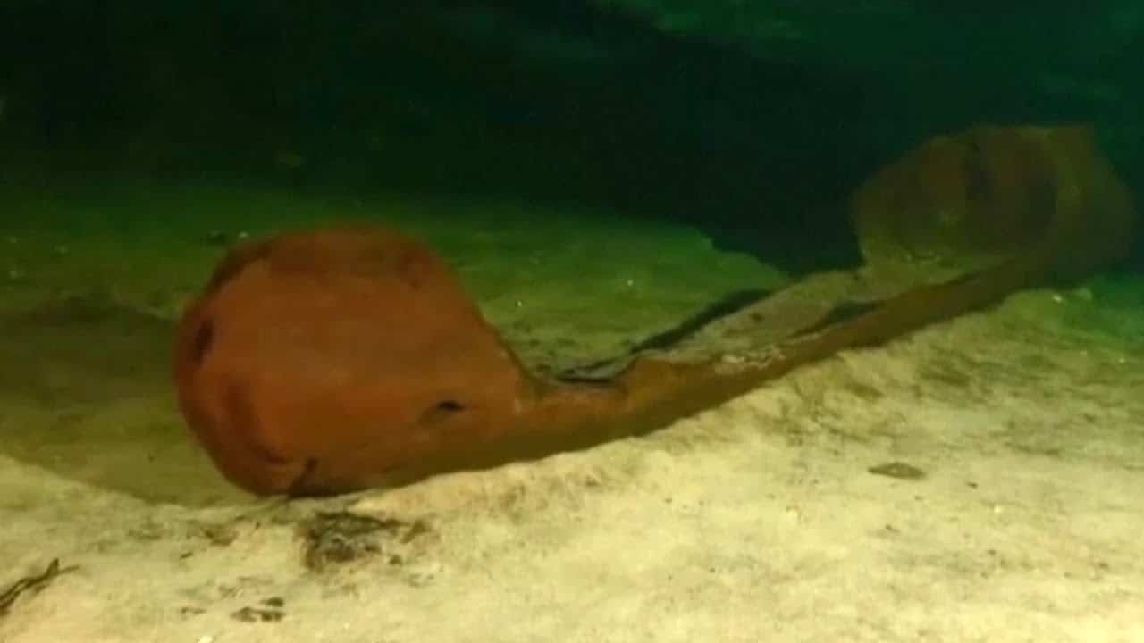 Thousand-year-old Maya canoe found almost intact in Mexico 1