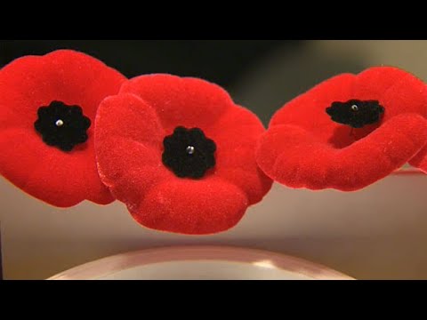 A look back at 100 years of the poppy in Canada 5
