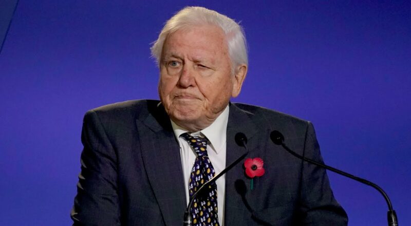 Watch Sir. David Attenborough's powerful speech to leaders at COP26 9