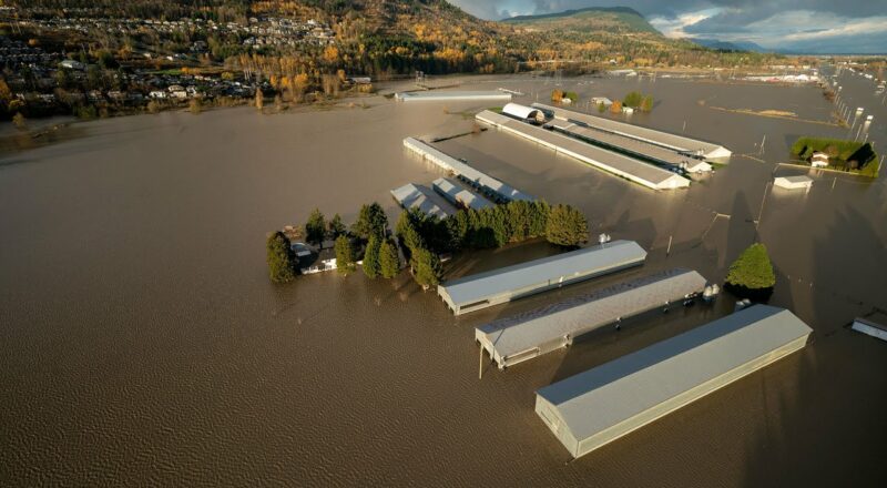 Military to bring logistics support to B.C. flood recovery 8