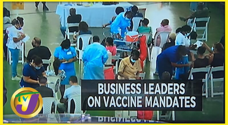 Business Leaders on Vaccine Mandates | TVJ News - Nov 17 2021 1