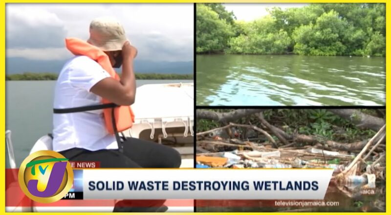 Solid Waste Destroying Wetlands | TVJ News - Nov 17 2021 1