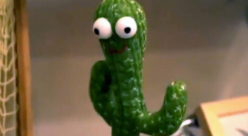 Walmart pulls toy cactus that swears in Polish, sings about cocaine use 1