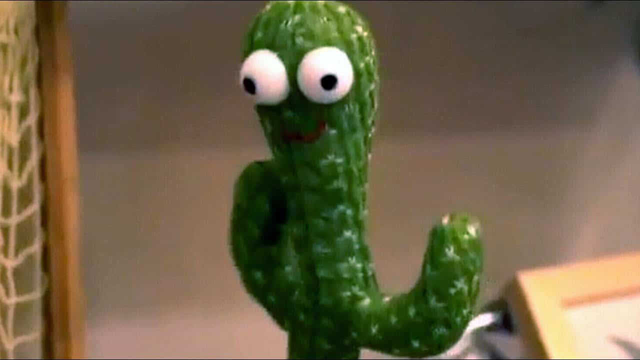 Walmart pulls toy cactus that swears in Polish, sings about cocaine use 7