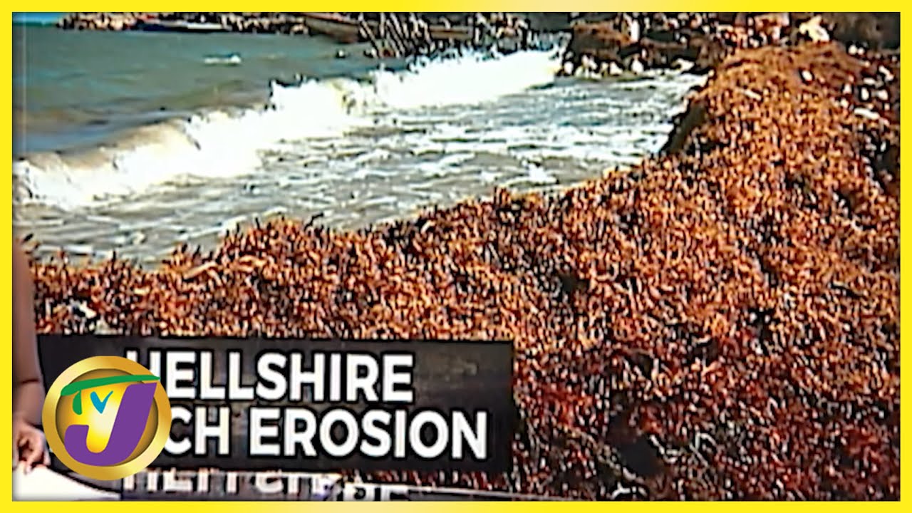 Hellshire Beach Erosion | TVJ News - Nov 1 2021 1