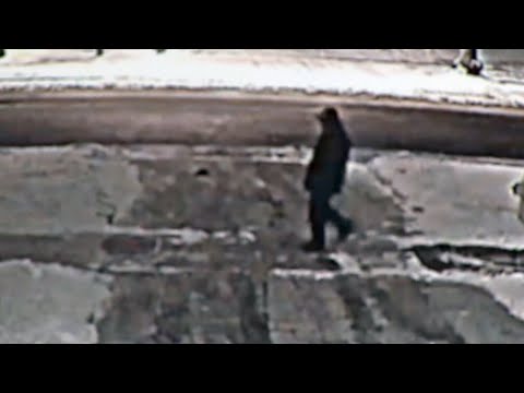 Newly released video of suspect in Barry and Honey Sherman murder case 1